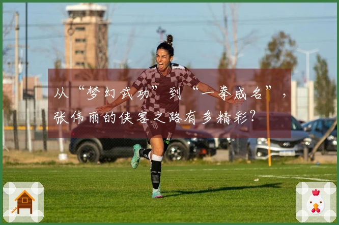 从“梦幻武功”到“一拳成名”，张伟丽的侠客之路有多精彩？